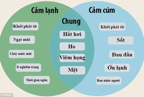 Huong Dan Cac Buoc Xu Ly Cam Cum Bang Y Hoc Co Truyen 11205 1 Hướng Dẫn Các Bước Xử Lý Cảm Cúm Bằng Y Học Cổ Truyền
