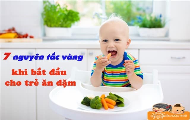 7 Nguyen Tac Vang Khi Bat Dau Cho Tre An Dam 640 X 404 1 7 Nguyên Tắc Khi Bắt Đầu Cho Bé Ăn Dặm