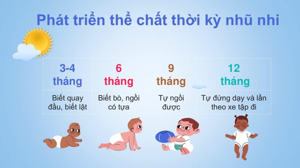 Cac Thoi Ky Phat Trien Cua Tre 15 Large Các Thời Kỳ Phát Triển Của Trẻ