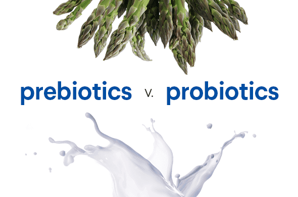 Probiotics Prebiotics Và Những Điều Kì Diệu